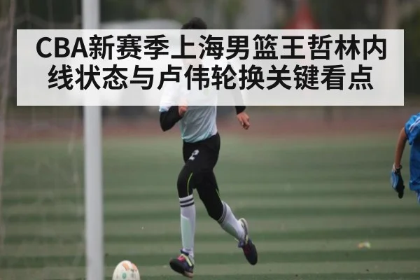 CBA新赛季上海男篮王哲林内线状态与卢伟轮换关键看点(kaiyun)