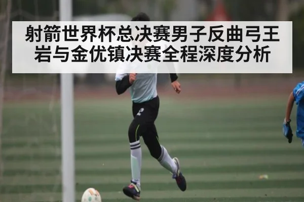 射箭世界杯总决赛男子反曲弓王岩与金优镇决赛全程深度分析 | kaiyun