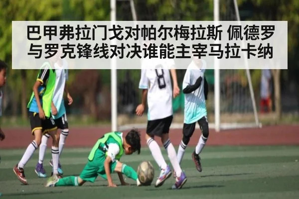 巴甲弗拉门戈对帕尔梅拉斯 佩德罗与罗克锋线对决谁能主宰马拉卡纳 | kaiyun